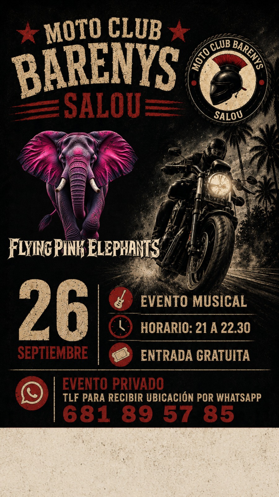 Concierto de Flying Pink Elephants